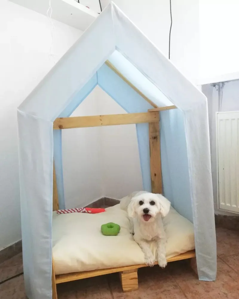 Pes ktorý navštívil psí salón